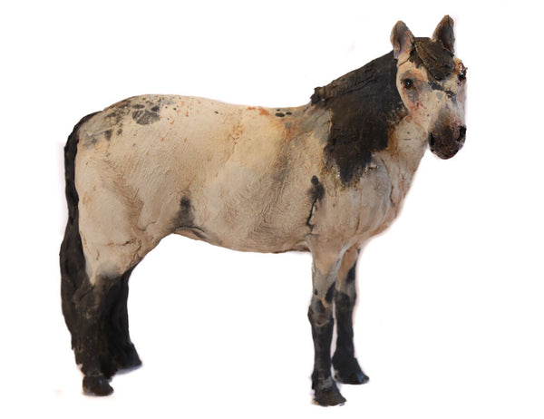 Ostinelli and Priest - Paint Pony