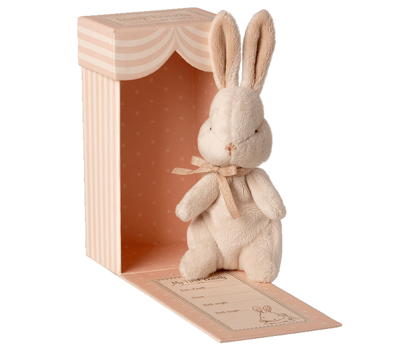 My First Bunny