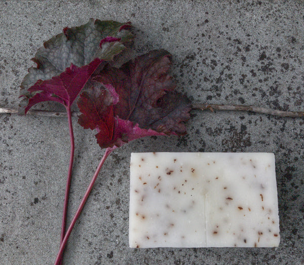 Heyland & Whittle Soap brick