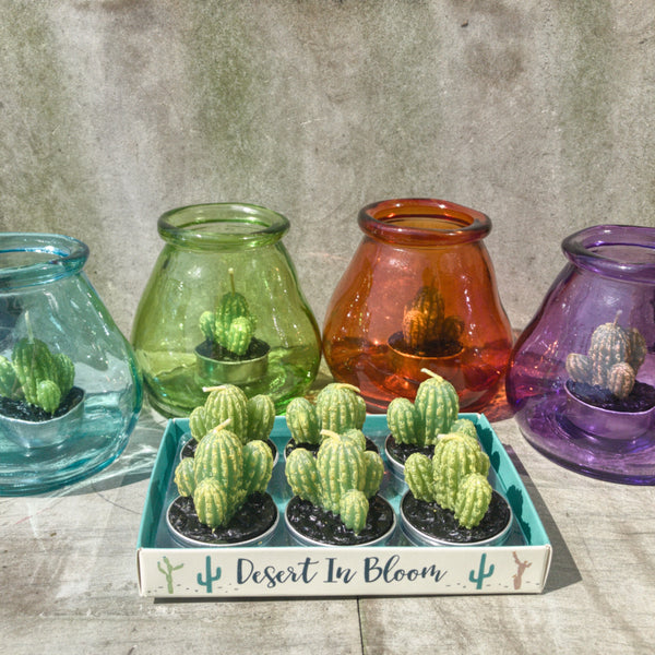 Cactus tea lights - pack of 6