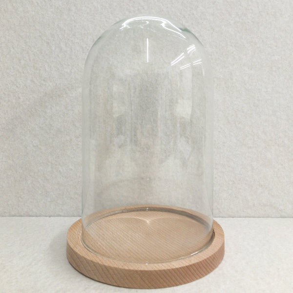 Recycled Glass Bell Jar / Cloche with wooden base.
