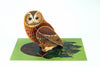 Pop out tawny owl card